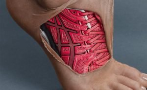 Why does intermittent claudication take place?