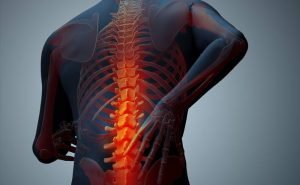 Why does osteoporosis. take place?