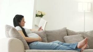 The Summary of the Precautions to be taken by a Pregnant Woman - In the Ready Reckoner Form